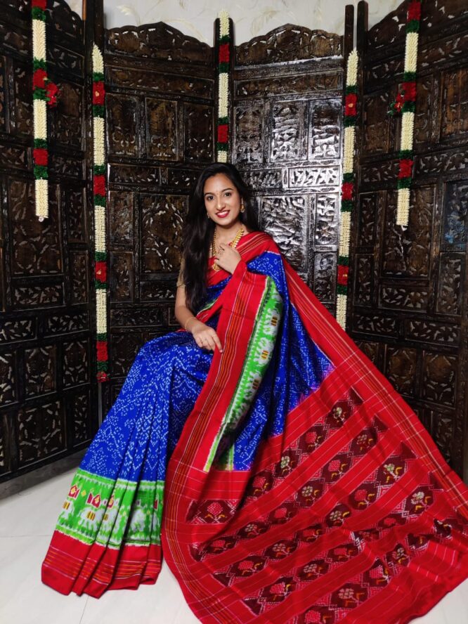 Pochampally Ikkat pattu saree 003
